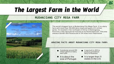 mudanjiang city mega farm size|Top 10+ Biggest & Most Beautiful Farms in the World.